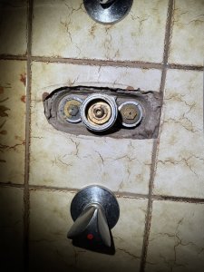 IMG_3610.JPEG