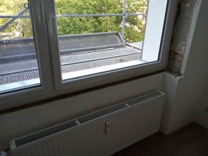 IMG_20260811_173833.jpg