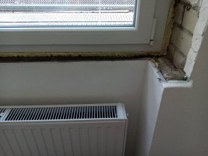 IMG_20260811_173853.jpg