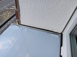 IMG_20260811_174003.jpg