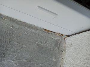 IMG_20260811_195756.jpg