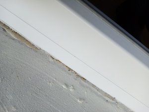 IMG_20260811_195807.jpg