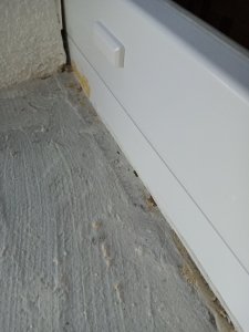 IMG_20260811_195812.jpg