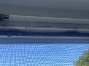 IMG_9474.jpeg