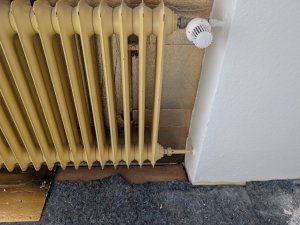 PXL_20260818_155212178.jpg