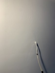 IMG_5419.jpeg