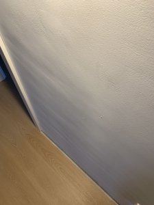 IMG_5406.jpeg