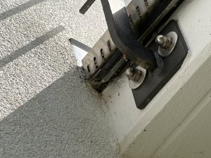 IMG_7831.jpeg