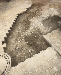 IMG_5160.jpeg