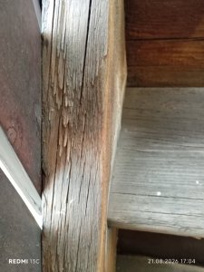 1000017819.jpg