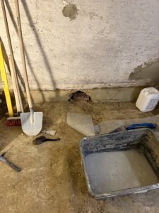 IMG_7846.jpeg