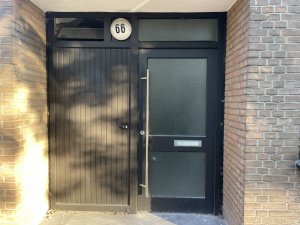 IMG_7939.jpeg