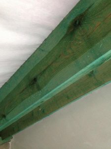 IMG_3644.jpg