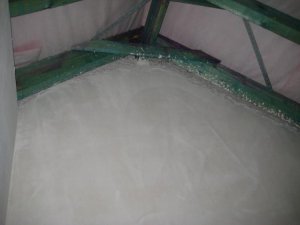 IMG_0056.jpg