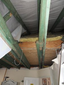 SDC17116.jpg
