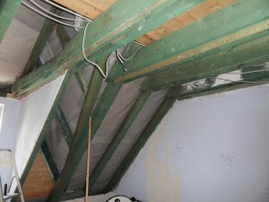 SDC17118.jpg