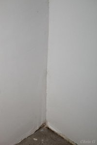 Schimmel an der Wandecke zum Nachbar.jpg