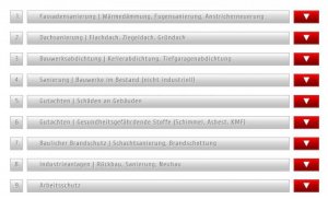 dach_001.jpg