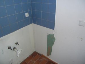DSCF1633.jpg