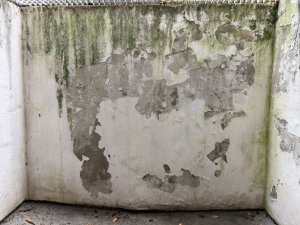 IMG_4125.jpeg