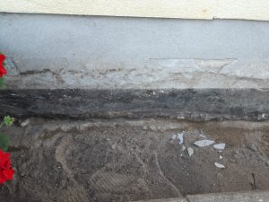 Image14.jpeg
