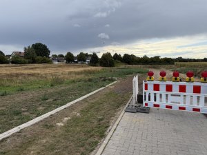 IMG_2116.jpeg