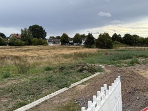 IMG_2119.jpeg