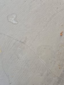 20260901_162355.jpg