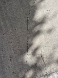 20260901_162333.jpg