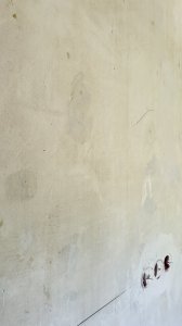 IMG_8341.jpeg