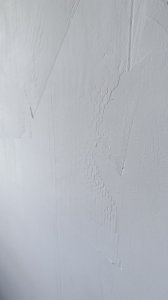 IMG_8334.jpeg