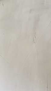 IMG_8336.jpeg