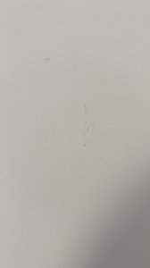 IMG_8331.jpeg
