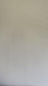 IMG_8329.jpeg