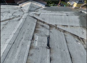 3722cbd1-f6c8-4a50-a6b6-acdce40a1ac5.jpg