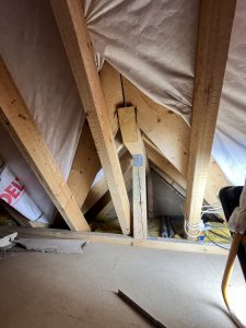 IMG_9508.jpeg