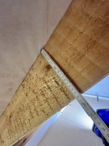 IMG_9509.jpeg
