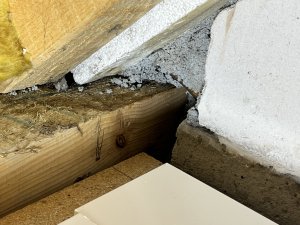 IMG_9512.jpeg