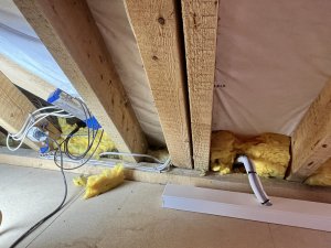 IMG_9514.jpeg