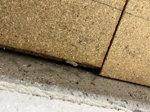 IMG_9515.jpeg