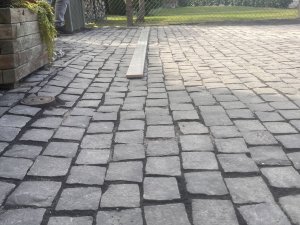 IMG_1017.jpeg