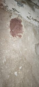IMG_20260918_175911.jpg