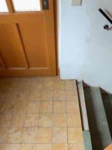 frame_00080.jpg