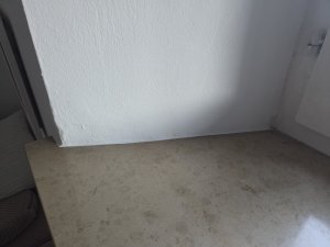 20260924_185822.jpg
