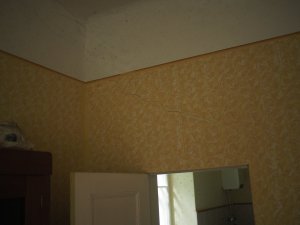 P9250791.JPG