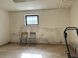 IMG_3879.jpeg