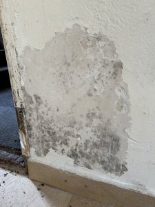 IMG_3881.jpeg