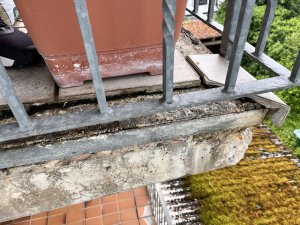 IMG_1507.jpeg