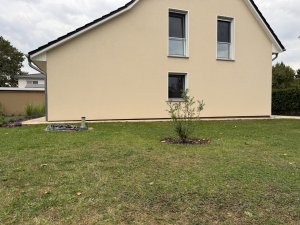 IMG_8961.jpeg