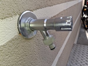 20260928_094918.jpg
